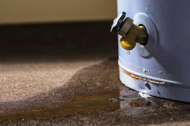 Best Residential water damage restoration  in Langley Park, MD