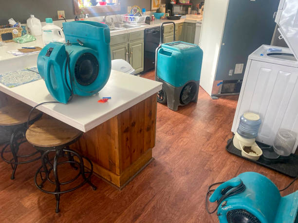 Best Flood damage cleanup  in Langley Park, MD