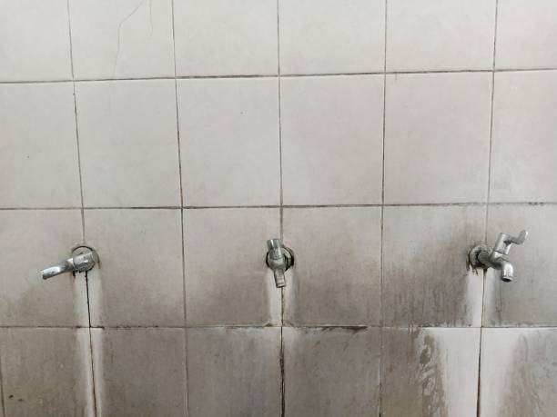 Best Sewage cleanup and water damage restoration  in Langley Park, MD