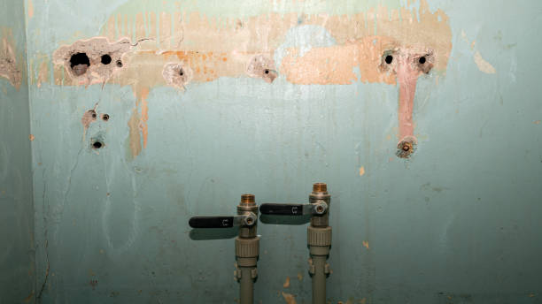 Best Water damage restoration mold remediation  in Langley Park, MD