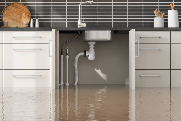 Best Professional water damage repair  in Langley Park, MD